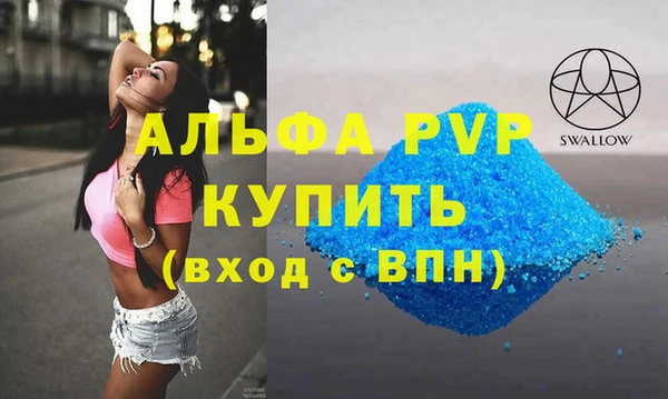 индика Володарск